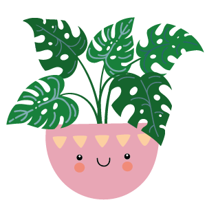 Illustration of Mini Monstera houseplant in pink pot