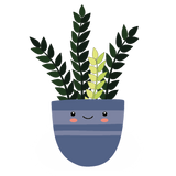 Illustration of Raven ZZ houseplant