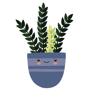 Illustration of Raven ZZ houseplant