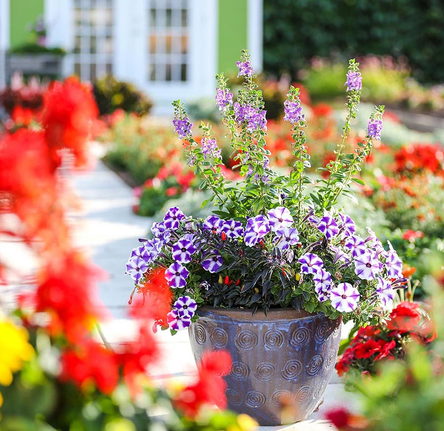 Textured stone planters for your mini-garden