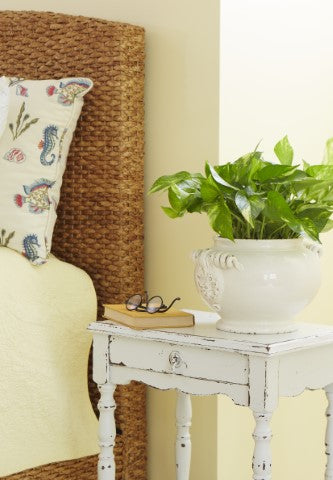 Cozy and inviting bedroom with a white table featuring a white vase containing a Pothos plant.