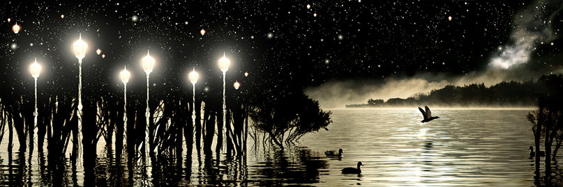 Poster - Lake Wanaka At Night image