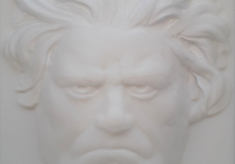 Beethoven Following Face image