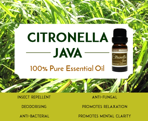 Soap Artisan | Citronella Oil Benefits