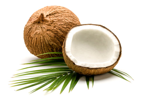 Coconut