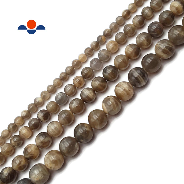 Golden Sandalwood Smooth Round Beads 6mm 8mm 10mm 12mm 15.5 Strand