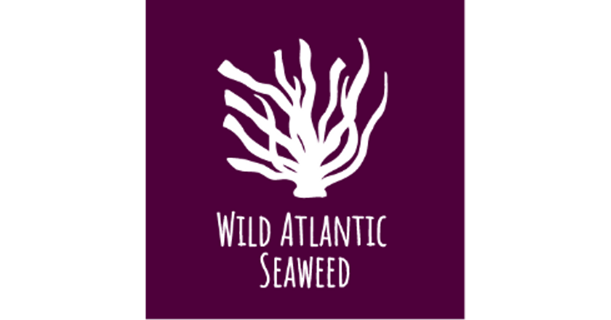 Wild Atlantic Seaweed