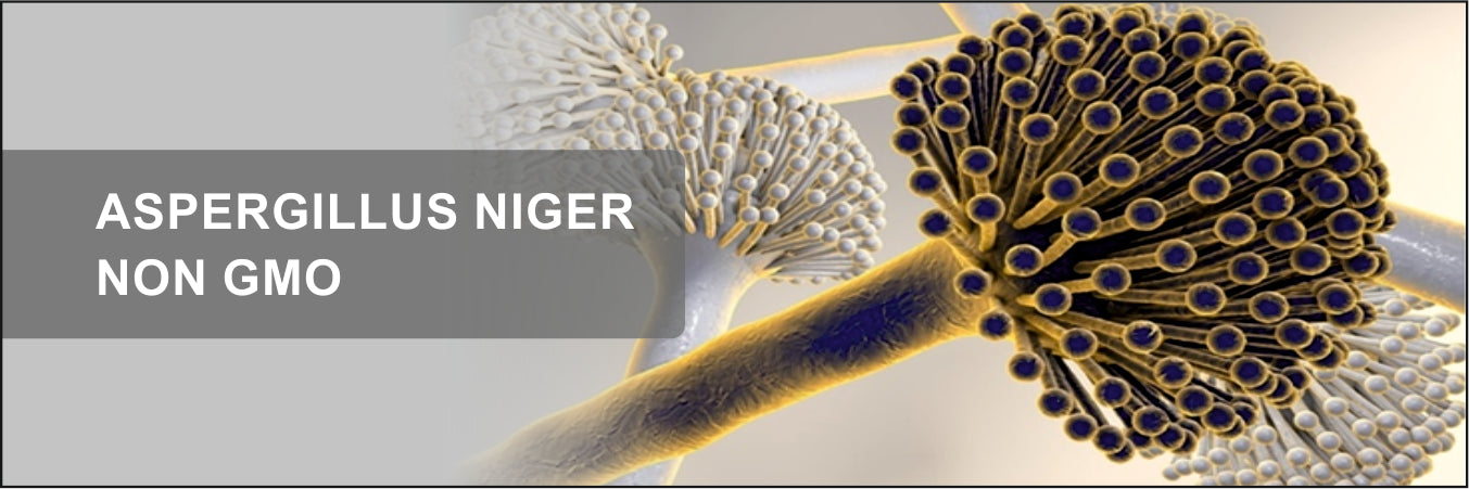 Bioven Lactase Enzyme - A. niger