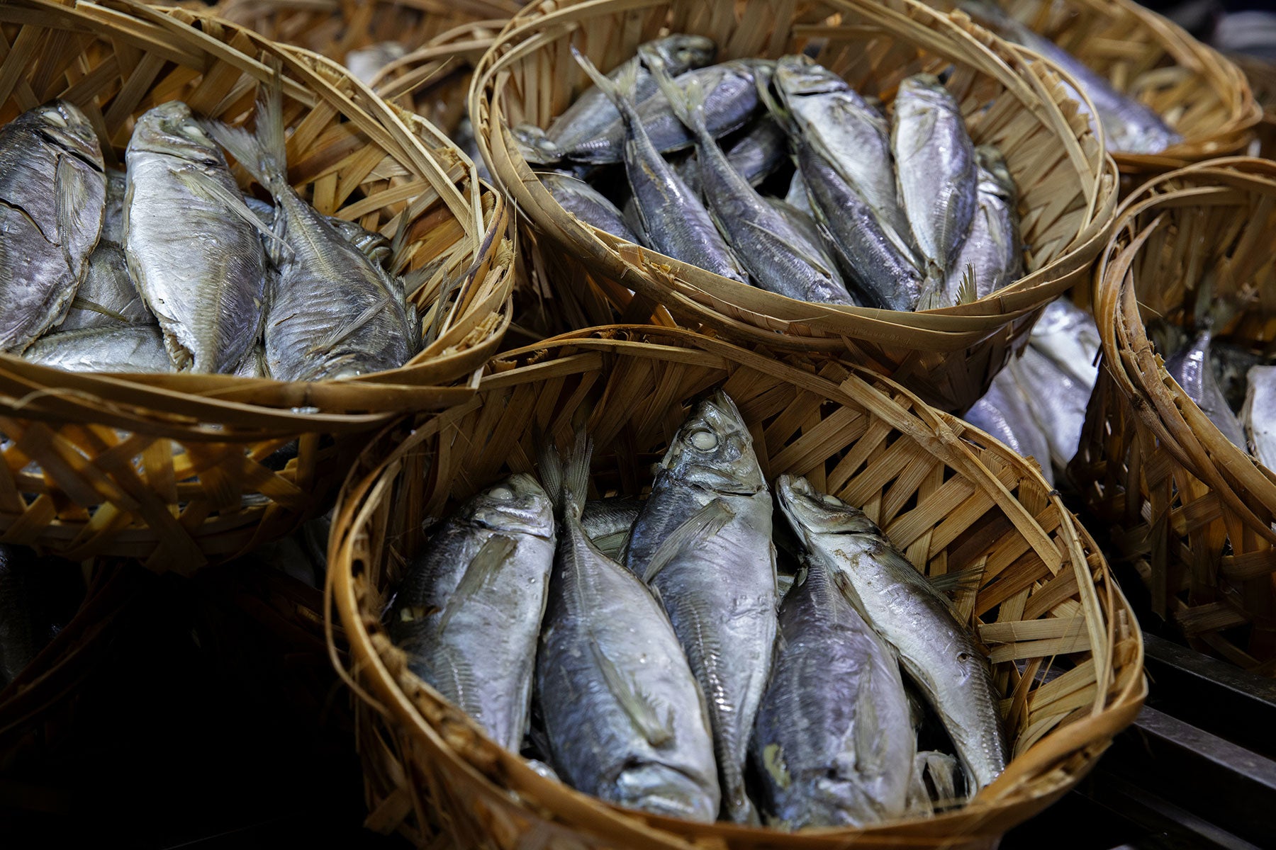 Fish in baskets at market