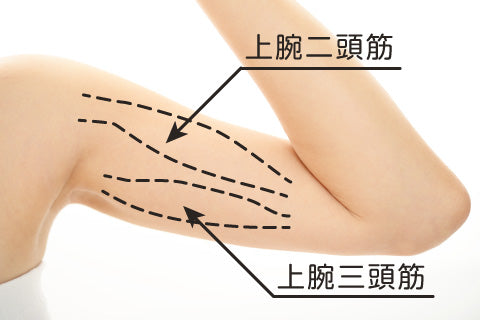 二の腕痩せを短期間で実現するなら腕立て伏せは絶対ng Femigran フェミグラン