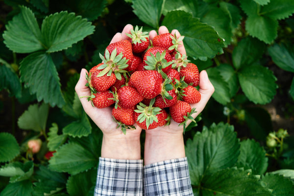 foods that decrease inflammation strawberries