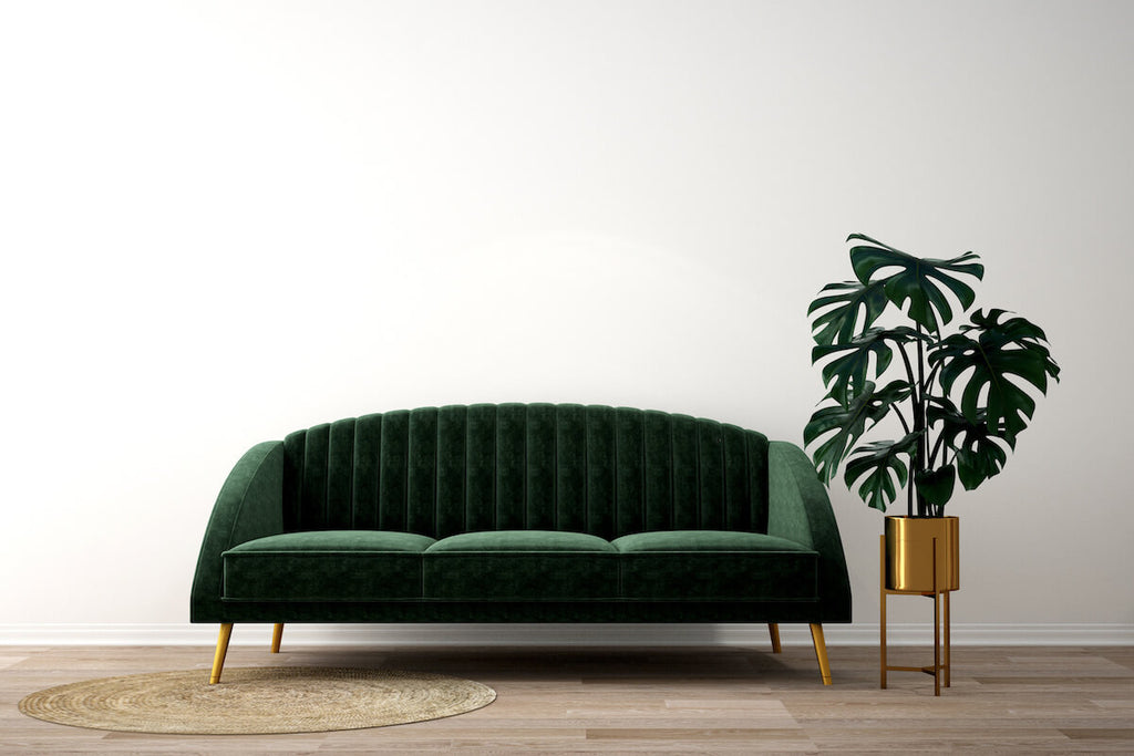 Green couch, a plant, and a round rug