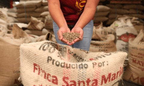 Organic Colombian coffee beans Santa Maria