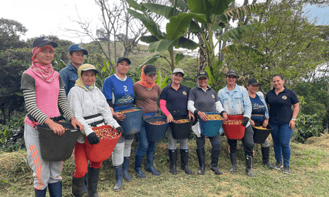 Coffee farm and coffee producers