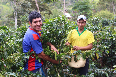 agricultores peruanos