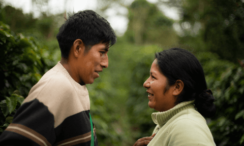 In a Central American coffee farm, an indigenous man and woman look into each other's eyes