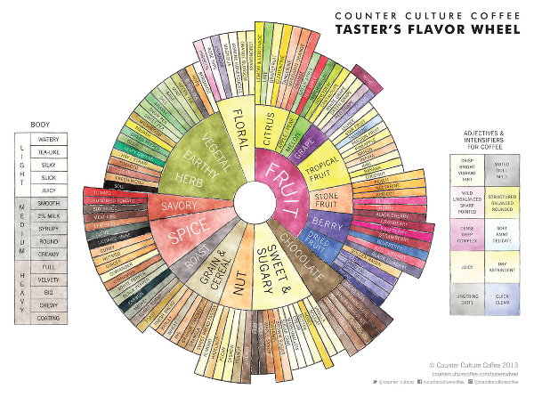 Counter Culture Flavour Wheel