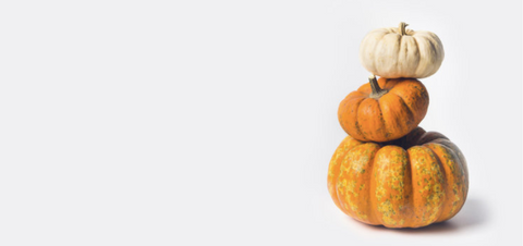 The Sustainable Pumpkin – The Sustainable Change