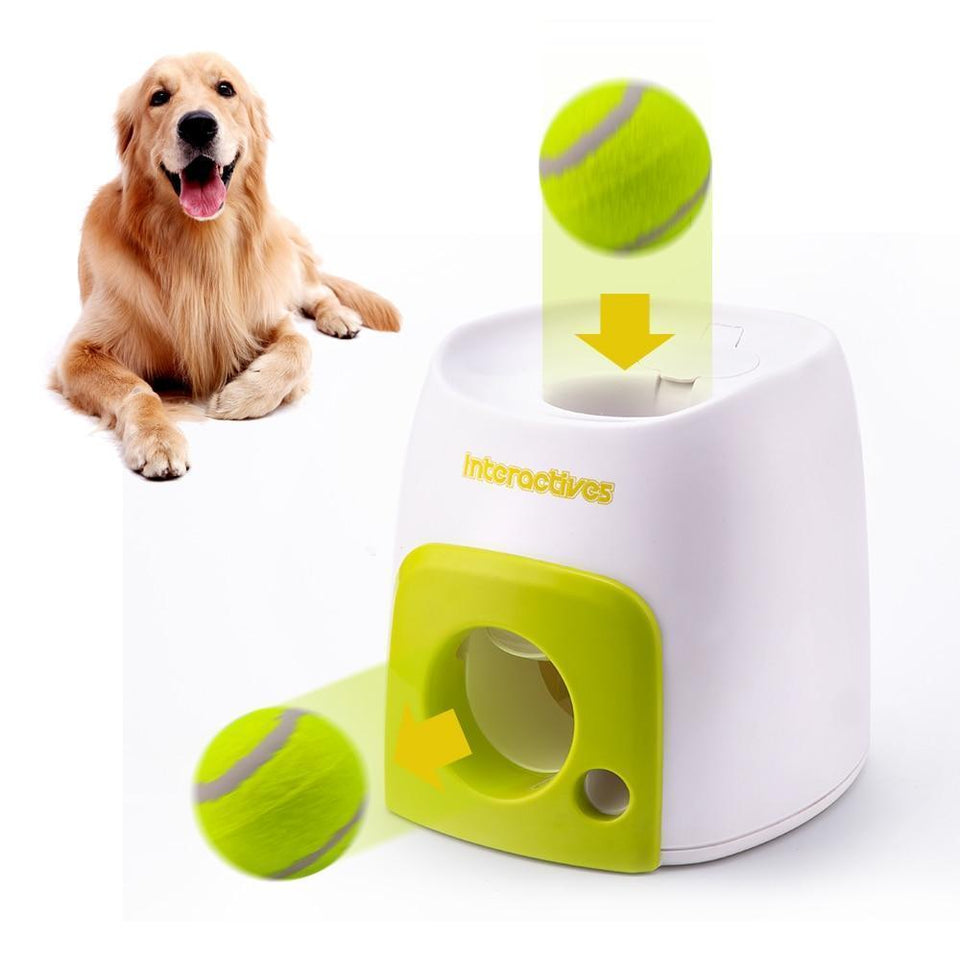 pet fetch machine