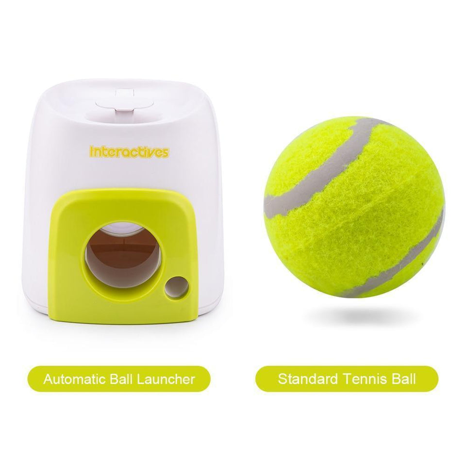 best dog fetch machine