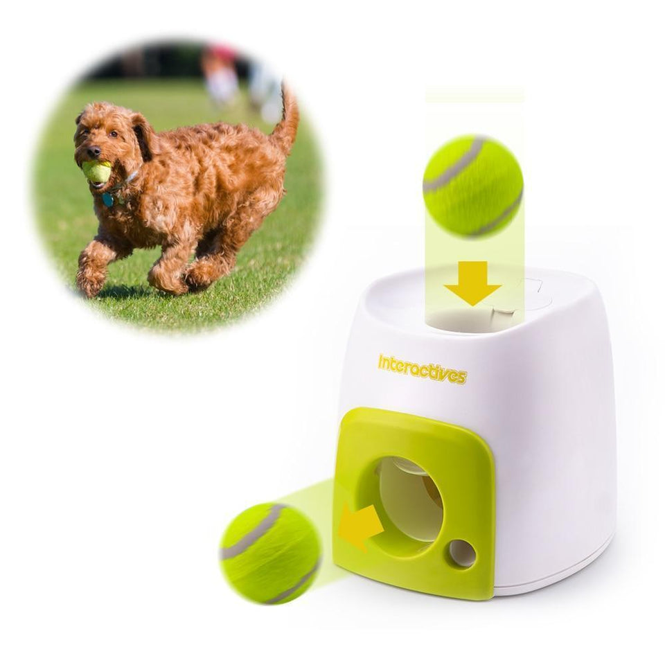 automatic ball thrower for your dog