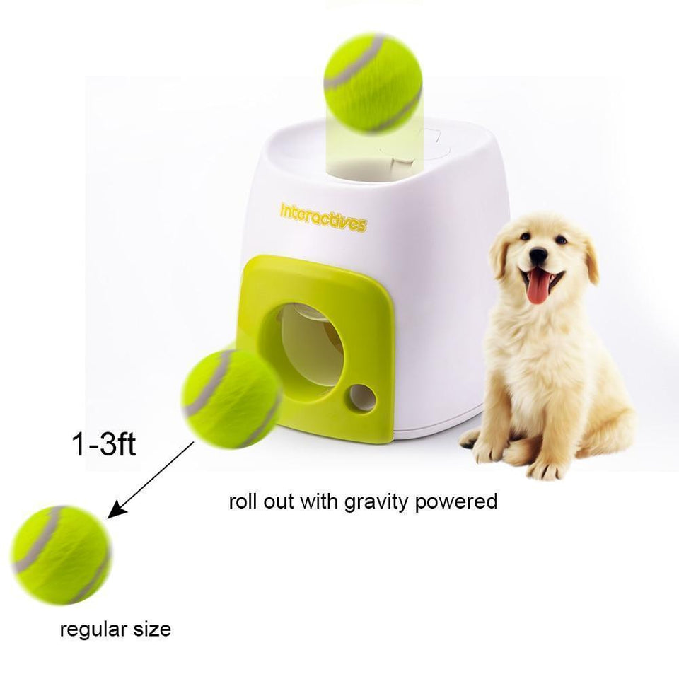 best dog fetch machine