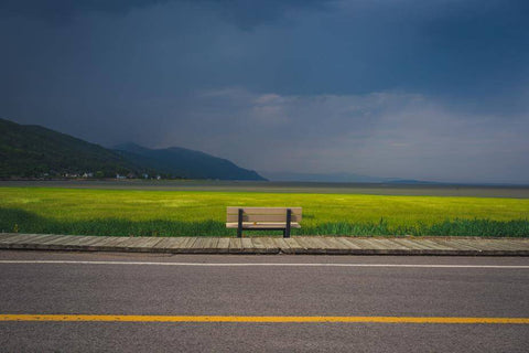 Bench Overlooking Farm Field