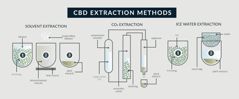 CBD Extraction Methods