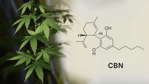 Cannabinol chemical structure