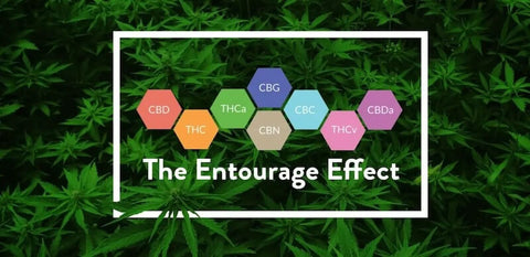 Entourage effect cannabinoids