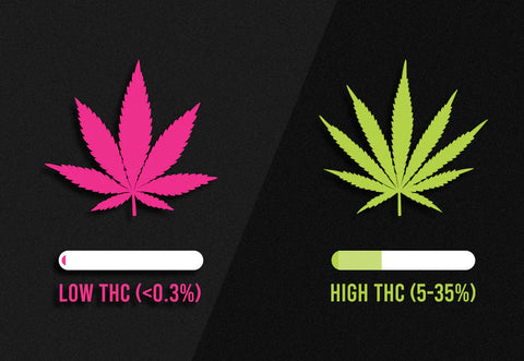 Low THC High THC