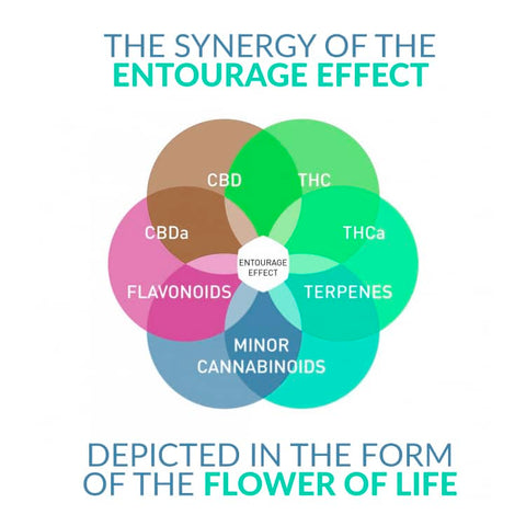 Synergy of entourage effect