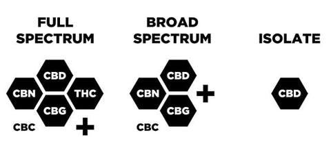 Types of CBD spectrums