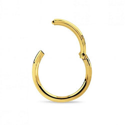 Surgical Steel Hinged Septum - Allccess