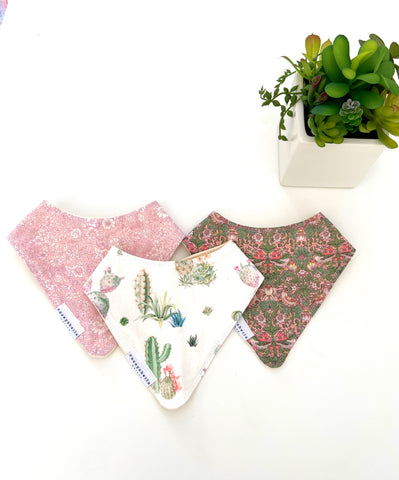 Matching baby girl bibs with succulent on white table