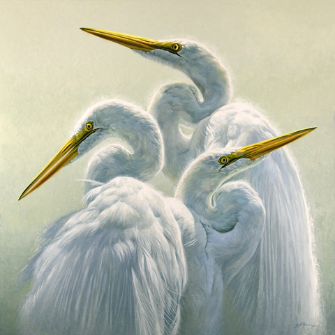 Curcuitous egrets painting