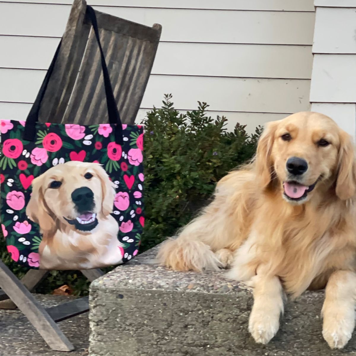 Custom Pet Portrait Tote Bags – Sam and Jack