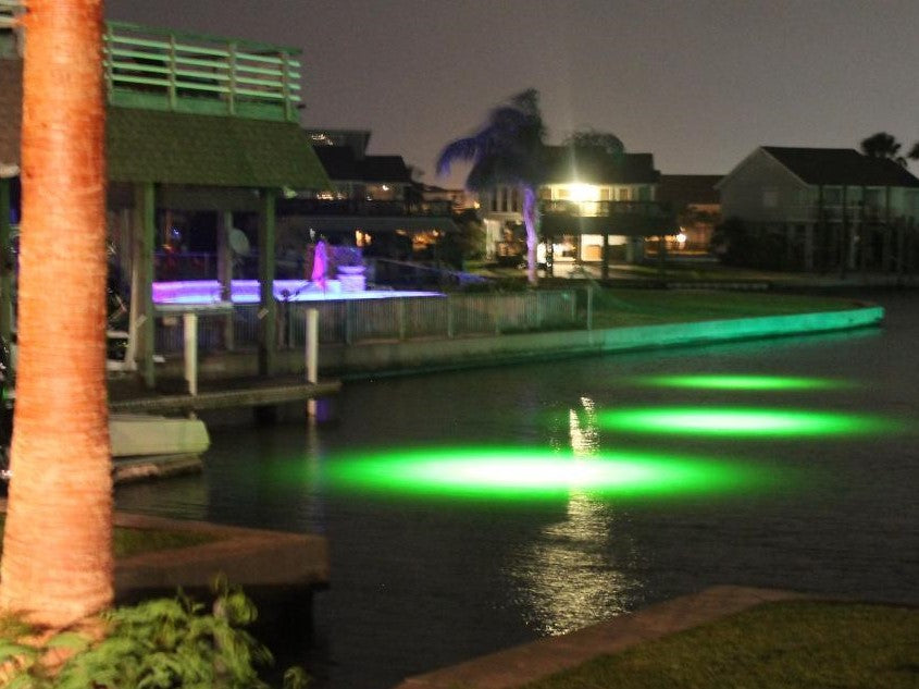 underwater neon lights