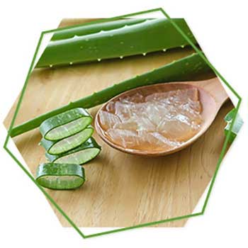 Aloe Vera Extract & Vitamin E