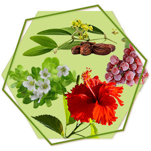 Hibiscus Oil, Brahmi Oil, Grape seed & Jojoba Oil
