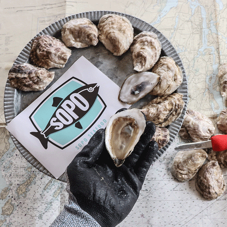 Shuck at Home Kit – Mere Point Oyster Company