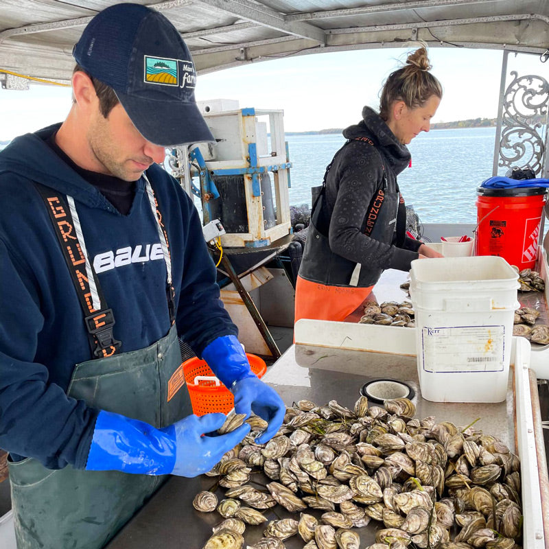 Oyster Shucking Kit – SoPo Seafood