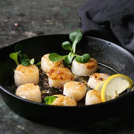 Jumbo Sea Scallops Buy Fresh Scallops Online Sopo Seafood