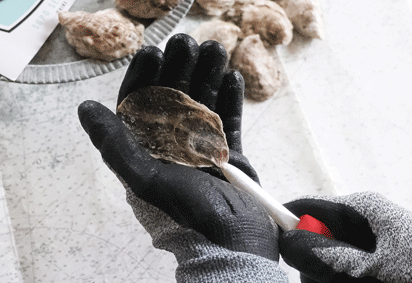 Oyster Shucking Gloves – The Lobster Man