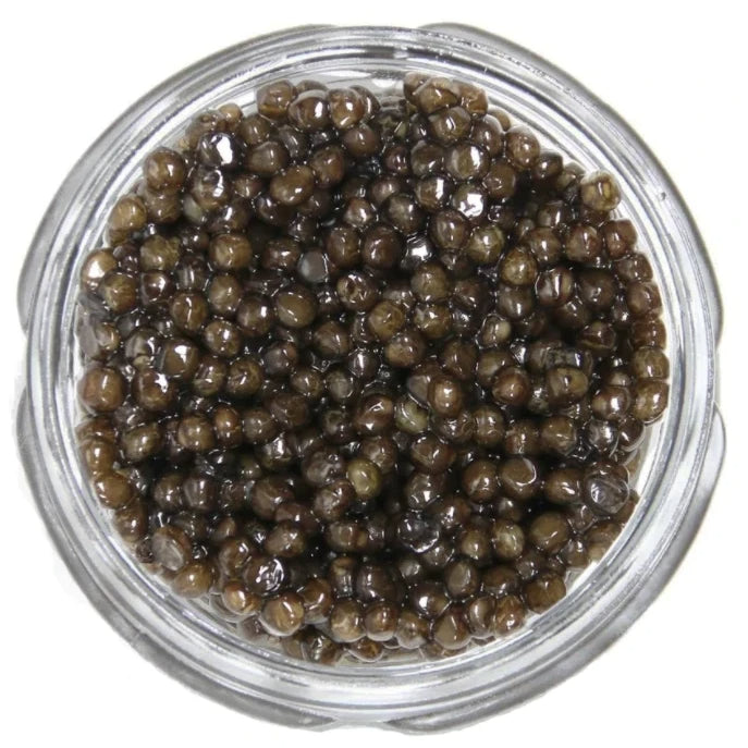 White Sturgeon Caviar