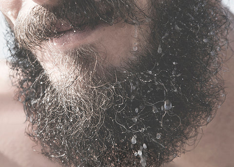 Curly Beard Care // A Different Beast– The Brighton Beard Company
