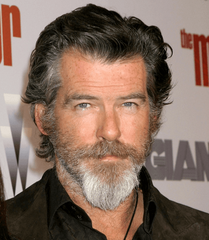 Peirce Brosnan