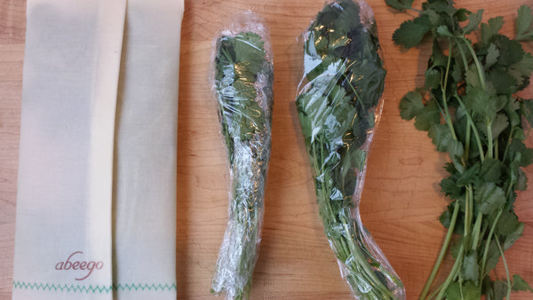 start of plastic wrap vs Abeego cilantro experiment