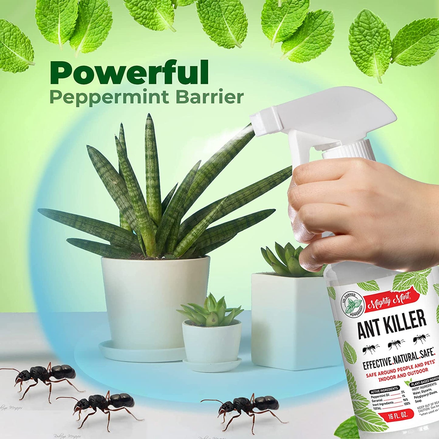 Mighty Mint Ant Killer Peppermint Spray 16 Oz Pure Origin Products 3760