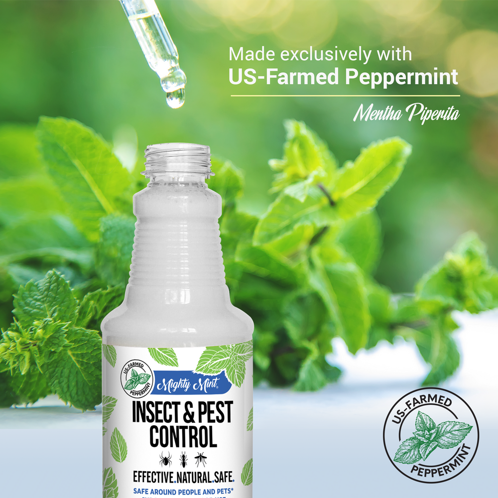 Mighty Mint Insect And Pest Control Peppermint Spray 16 Oz Pure Origin Products 5326